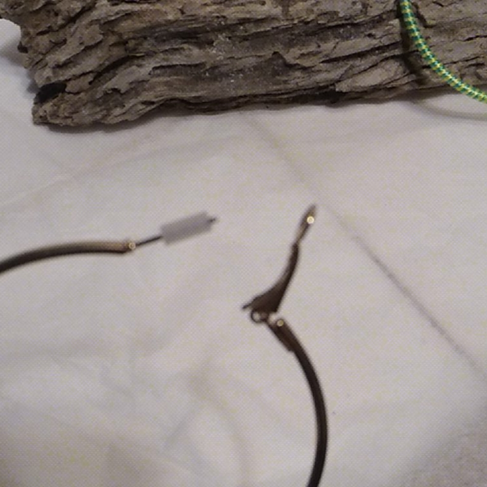 Nwt Large Hoop Earrings - Picture 4 of 6